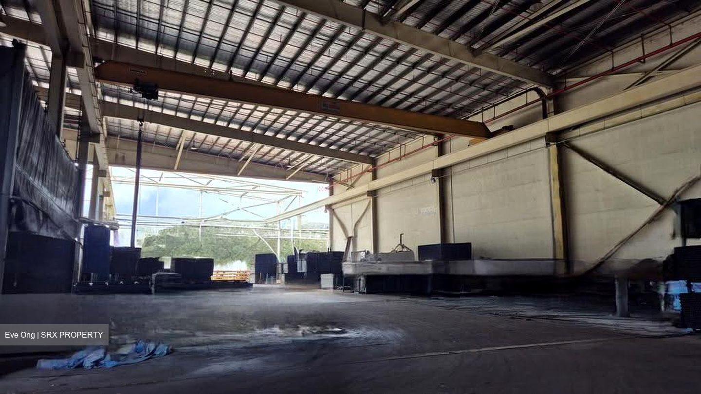 Benoi Road (D22), Factory #611116161